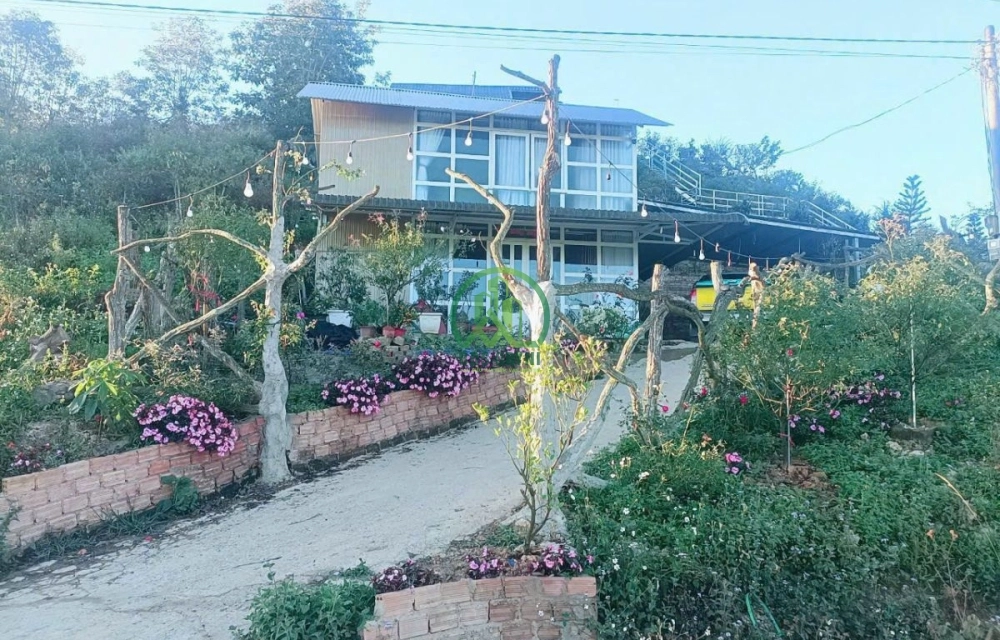 CẦN SANG NHƯỢNG LẠI FAMSTAY ROSE XÃ PHI TÔ - LÂM HÀ