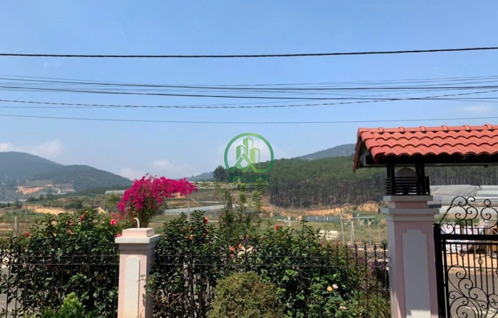 CẦN BÁN VILLA VIEW THÔNG ĐƯỜNG KQH AN SƠN - PHƯỜNG 4 - TP. ĐÀ LẠT