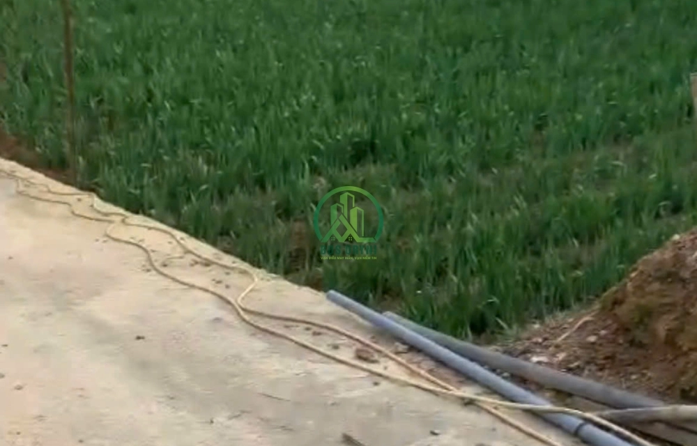 BÁN ĐẤT ĐƯỜNG HUỲNH TẤN PHÁT - P11 - ĐÀ LẠT