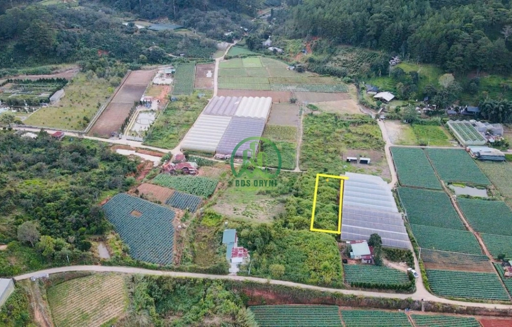 🔰 CHỈ CÒN 1 LÔ DUY NHẤT – SỔ RIÊNG – VIEW RỪNG THÔNG ĐẸP- Mimosa – Phường 10 – Đà Lạt