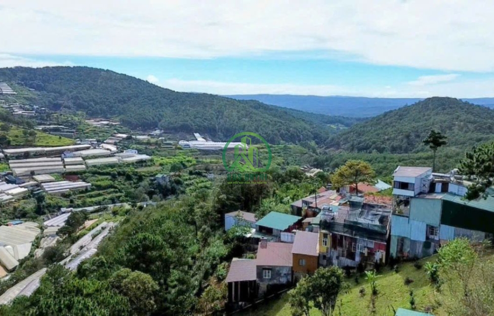 CẦN BÁN LÔ ĐẤT VIEW SIÊU ĐẸP – TRẦN QUANG DIỆU – P10 – ĐÀ LẠT