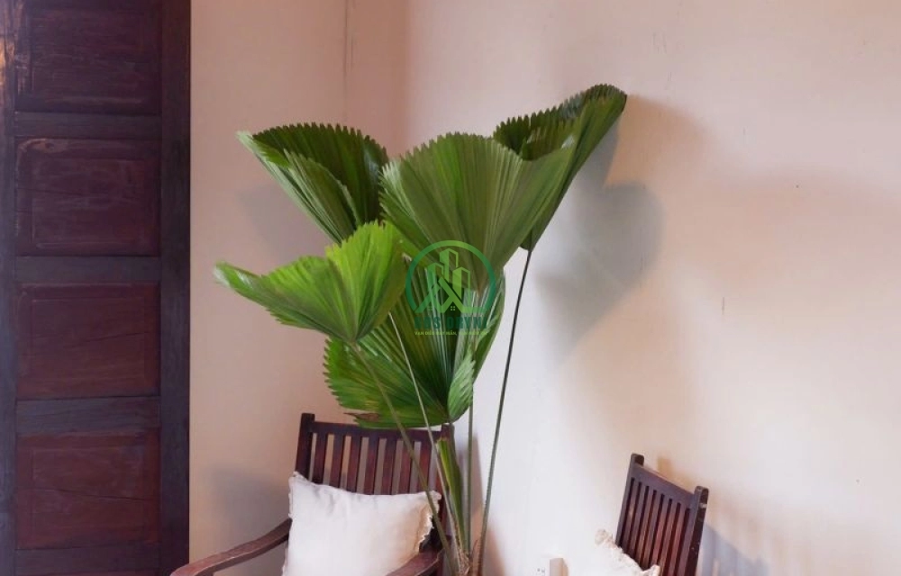 CẦN CHO THUÊ CĂN HOMESTAY VÀ LÔ ĐẤT MẶT TIỀN ĐƯỜNG TÔ HIỆU - P7 - ĐÀ LẠT