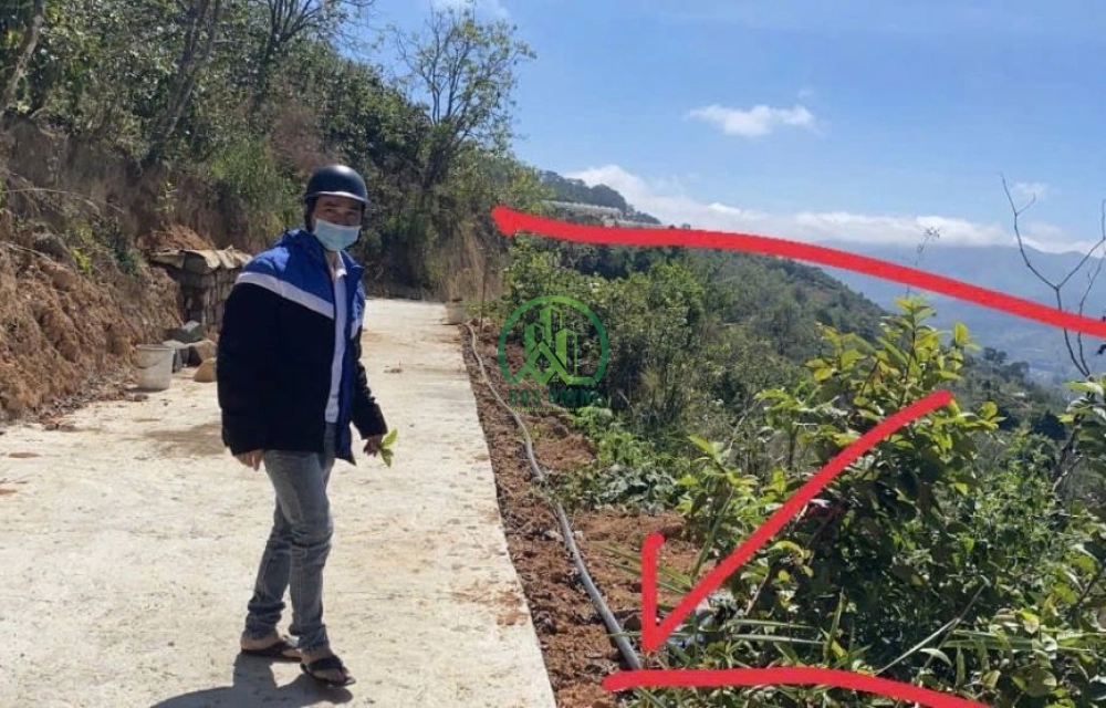 CẦN BÁN ĐẤT NÔNG NGHIỆP TẠI TRẠM HÀNH - CẦU ĐẤT - LÂM ĐỒNG