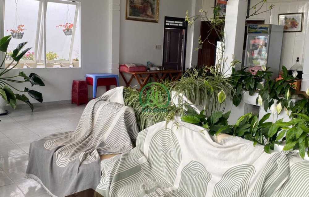 Cần bán nhà có chiếc view thông cực chill mặt tiền đường Hoàng Hoa Thám-P10-Đà Lạt