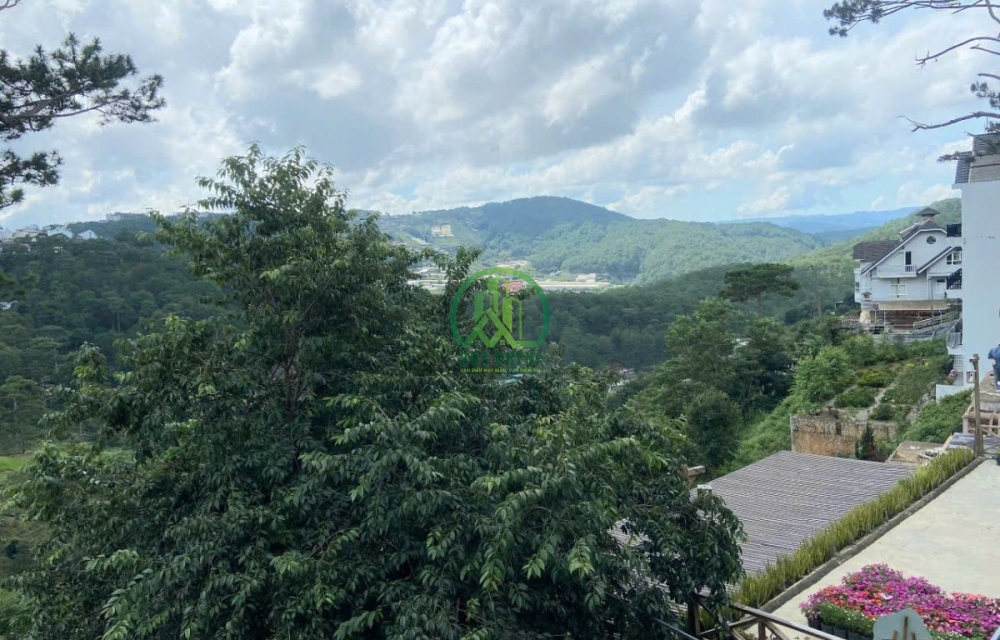 Cần bán nhà có chiếc view thông cực chill mặt tiền đường Hoàng Hoa Thám-P10-Đà Lạt