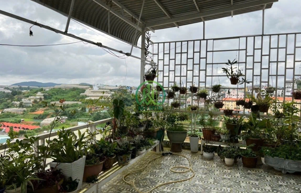 CẦN BÁN GẤP NHÀ KIM ĐỒNG - PHƯỜNG 6 - ĐÀ LẠT