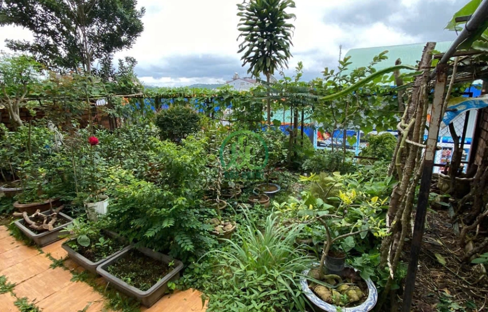 CẦN BÁN NHÀ TRIỆU VIỆT VƯƠNG - PHƯỜNG 4 - ĐÀ LẠT
