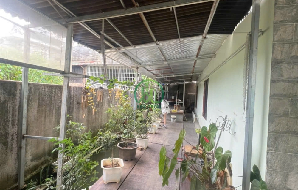 CẦN BÁN NHÀ SÂN VƯỜN ĐƯỜNG HOÀNG VĂN THỤ - P5 - ĐÀ LẠT