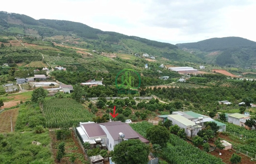 CẦN BÁN LÔ ĐẤT FO XÃ NAM BAN - LÂM HÀ