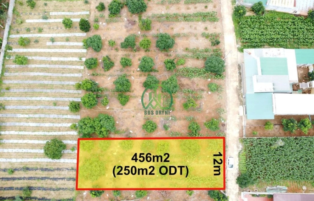 CẦN BÁN LÔ ĐẤT FO XÃ NAM BAN - LÂM HÀ