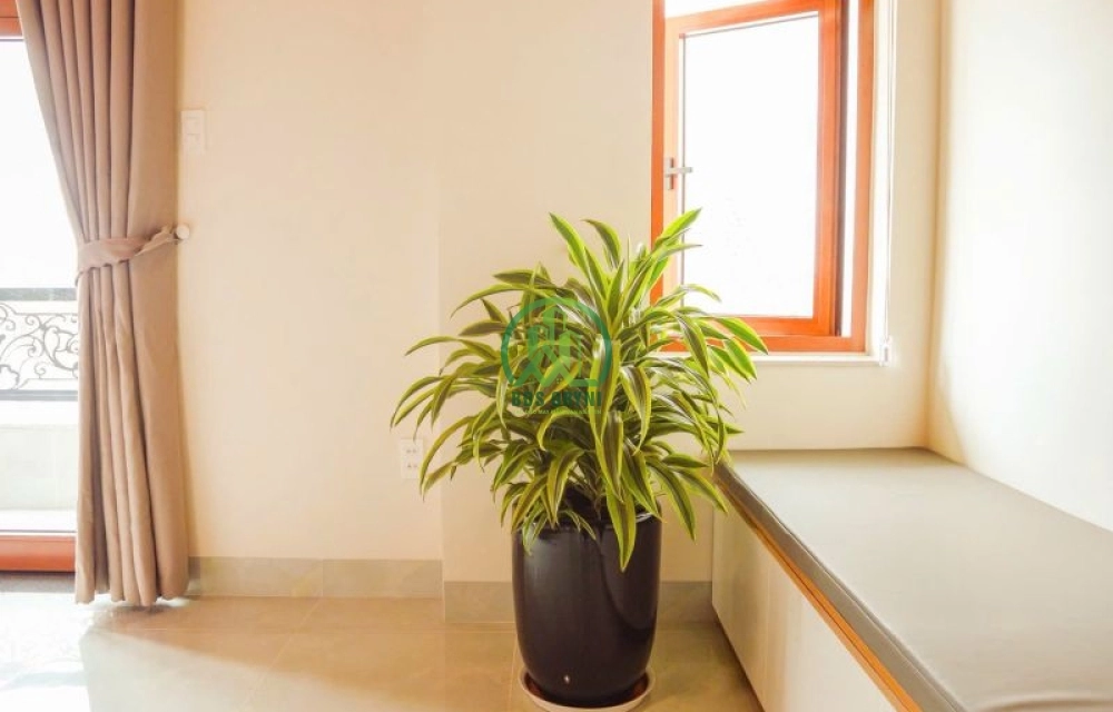 CẦN CHO THUÊ NHÀ ĐƯỜNG TRẦN PHÚ - PHƯỜNG 4 - ĐÀ LẠT