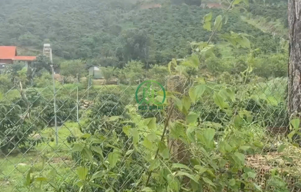 SIÊU PHẨM 4 LÔ ĐẤT NỀN GIA LÂM - GIÁ CỰC TỐT - ĐẦU TƯ LÀ SINH LỜI 