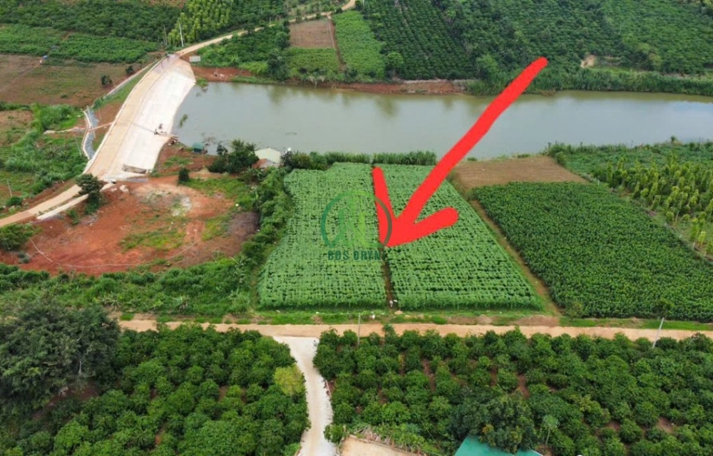 BÁN LÔ ĐẤT ĐẸP TẠI ĐAN PHƯỢNG - LÂM HÀ - LÂM ĐỒNG