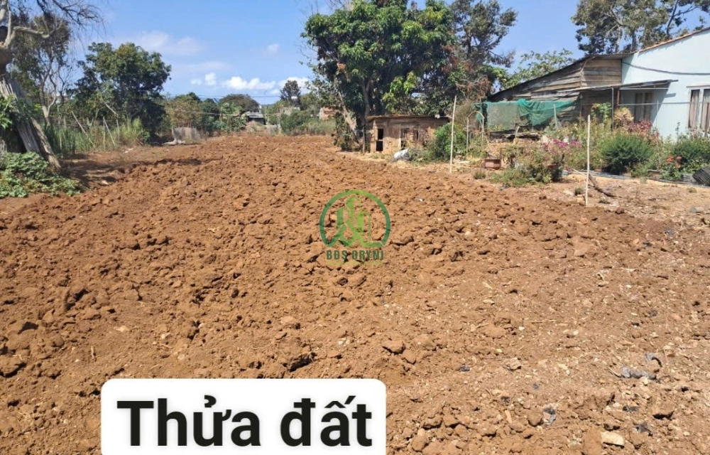  CƠ HỘI ĐẦU TƯ GIÁ TỐT - ĐẤT NỀN TÂN HỘI - ĐỨC TRỌNG