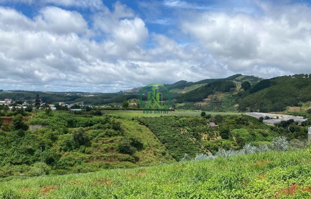 CẦN BÁN GẤP LÔ ĐẤT 3 MẶT TIỀN TẠI TÀ NUNG - PHƯỜNG CAM LY - ĐÀ LẠT