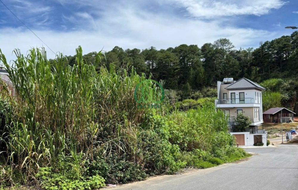 BÁN ĐẤT XÂY DỰNG - LÔ A8-3 KHU TÁI ĐỊNH CƯ SỐ 5, AN SƠN, PHƯỜNG XUÂN HƯƠNG (P4 CŨ) - ĐÀ LẠT