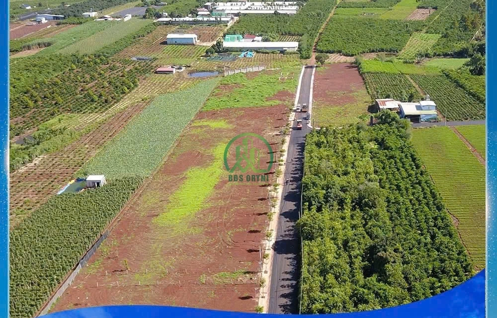 🏡 ĐẤT NỀN LÀNG THANH BÌNH VIEW ĐẸP– VỊ TRÍ TIỀM NĂNG– SỔ HỒNG RIÊNG