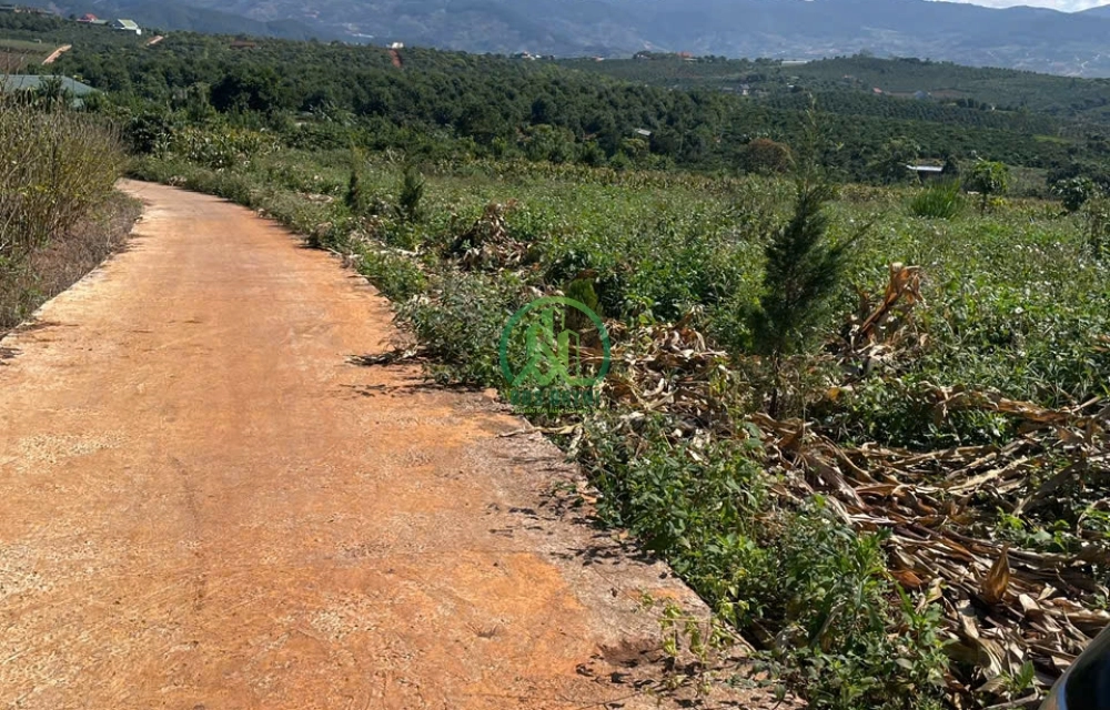 BÁN ĐẤT ĐẸP GIÁ TỐT TẠI NAM HÀ - LÂM HÀ - LÂM ĐỒNG