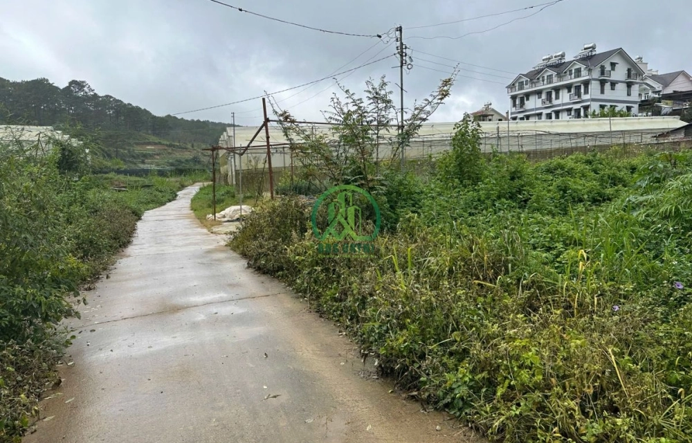 🌿 BÁN LÔ ĐẤT 2 MẶT TIỀN ĐƯỜNG TRIỆU VIỆT VƯƠNG - P. XUÂN HƯƠNG - ĐÀ LẠT 🌿