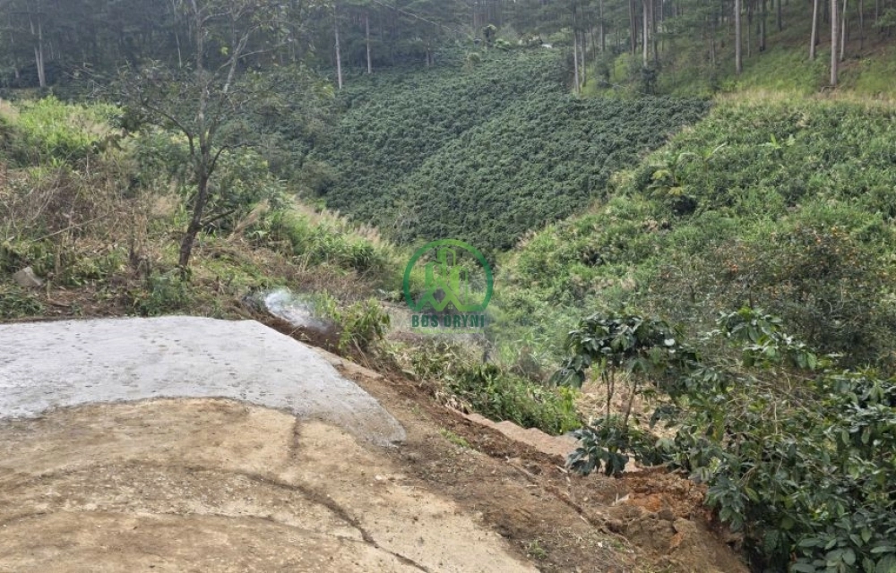 🌿 BÁN LÔ ĐẤT ĐẸP GIÁ TỐT TẠI XUÂN THỌ - P. XUÂN TRƯỜNG - ĐÀ LẠT 🌿