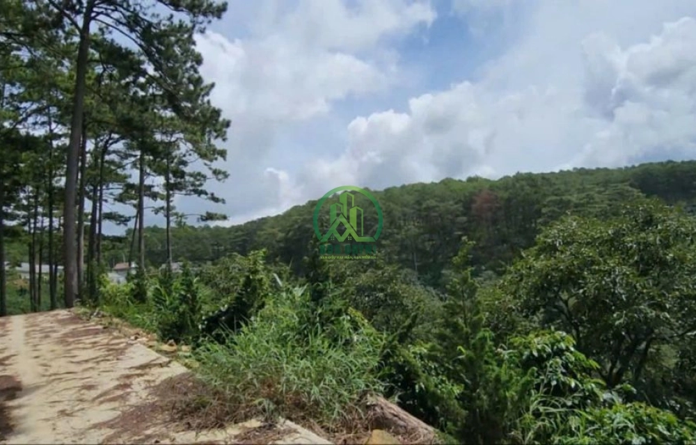 🌿 BÁN LÔ ĐẤT ĐẸP GIÁ TỐT TẠI XUÂN THỌ - P. XUÂN TRƯỜNG - ĐÀ LẠT 🌿