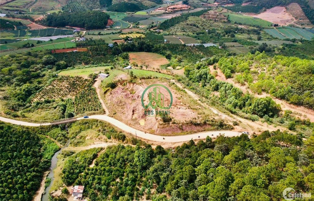 🌿 BÁN LÔ ĐẤT ĐẸP GIÁ TỐT TẠI PHÚ HỘI - ĐỨC TRỌNG 🌿