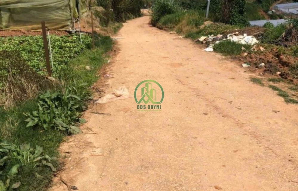 CẦN BÁN LÔ ĐẤT NÔNG NGHIỆP ĐƯỜNG CAO THẮNG, ĐÀ LẠT 