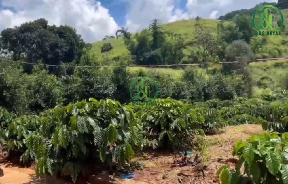 CẦN BÁN 1458 M2 ĐẤT NAM BAN- LÂM HÀ