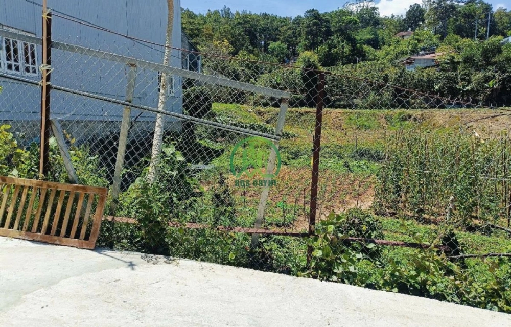 🏡 CẦN BÁN 2 LÔ ĐẤT ĐƯỜNG TRẦN THÁI TÔNG - P. XUÂN HƯƠNG - ĐÀ LẠT