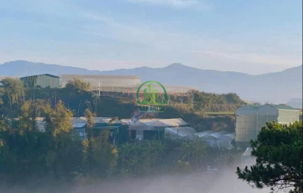 🏡 CẦN BÁN NHÀ NGUYỄN HOÀNG - P. LANGBIANG - ĐÀ LẠT