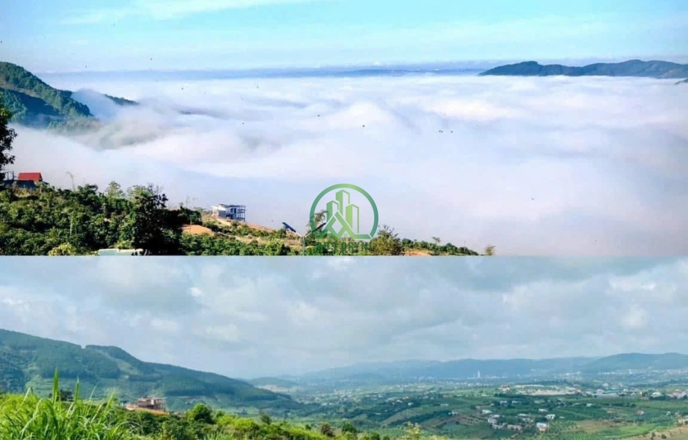 🏡 CẦN BÁN ĐẤT XÃ NAM BAN- LÂM HÀ