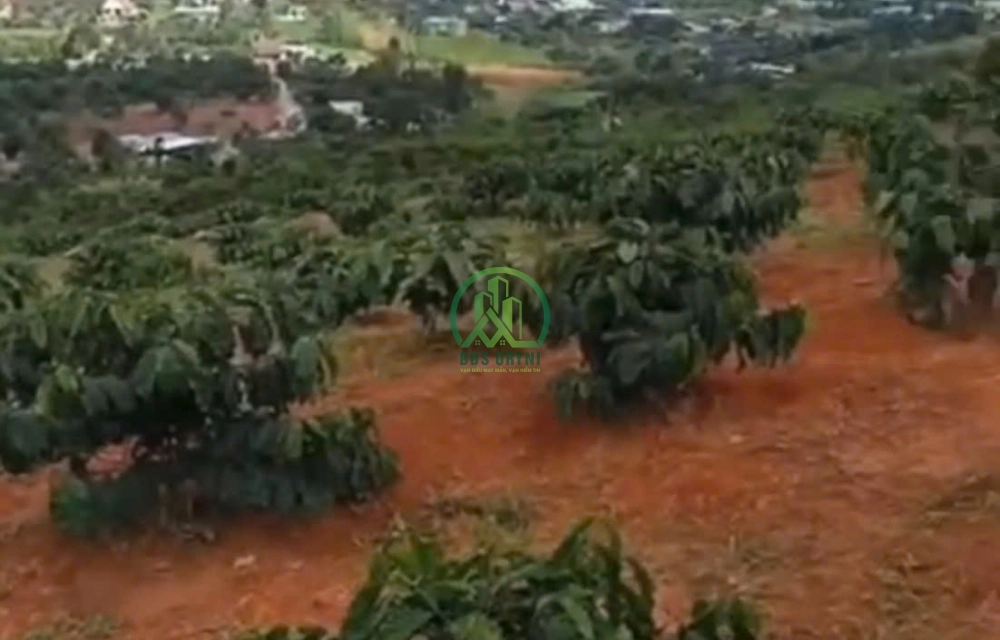 🏡 CẦN BÁN ĐẤT XÃ NAM BAN- LÂM HÀ