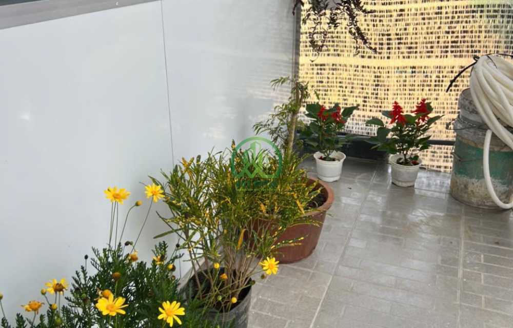 🏡 CẦN BÁN NHÀ MỚI PHƯỜNG LANGBIANG - ĐÀ LẠT