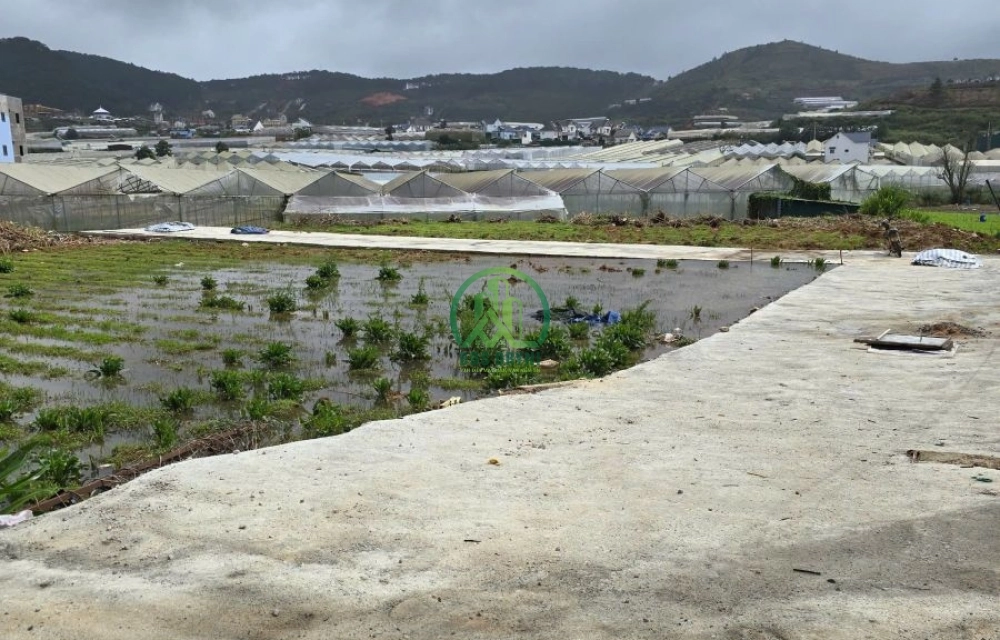 🏡 CẦN BÁN ĐẤT 2 MẶT TIỀN – TRUNG TÂM THỊ TRẤN LẠC DƯƠNG – ĐÀ LẠT