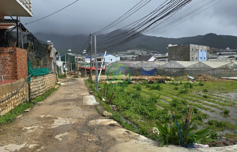 🏡 CẦN BÁN ĐẤT 2 MẶT TIỀN – TRUNG TÂM THỊ TRẤN LẠC DƯƠNG – ĐÀ LẠT