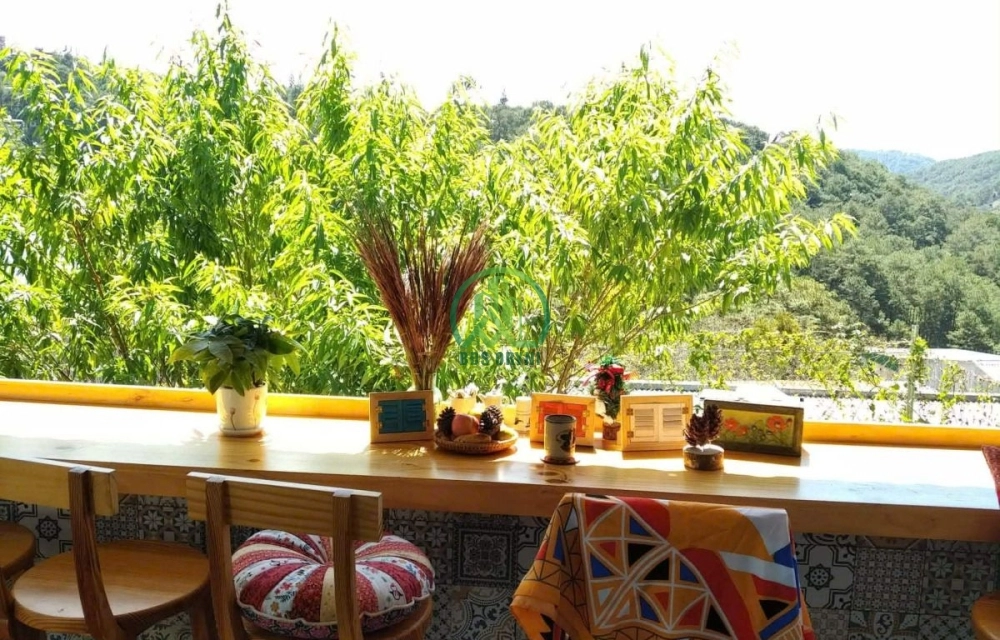 GIẢM GIÁ GẤP– CHỈ CÒN 5 TỶ | NHÀ SÂN VƯỜN TRUNG TÂM Đà Lạt 🔥