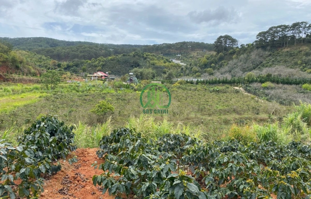 HẠ GIÁ BÁN LÔ ĐẤT SIÊU ĐẸP XUÂN SƠN– XUÂN TRƯỜNG– ĐÀ LẠT 🔥