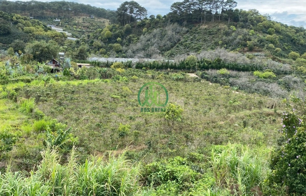 HẠ GIÁ BÁN LÔ ĐẤT SIÊU ĐẸP XUÂN SƠN– XUÂN TRƯỜNG– ĐÀ LẠT 🔥