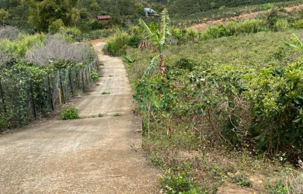 HẠ GIÁ BÁN LÔ ĐẤT SIÊU ĐẸP XUÂN SƠN– XUÂN TRƯỜNG– ĐÀ LẠT 🔥