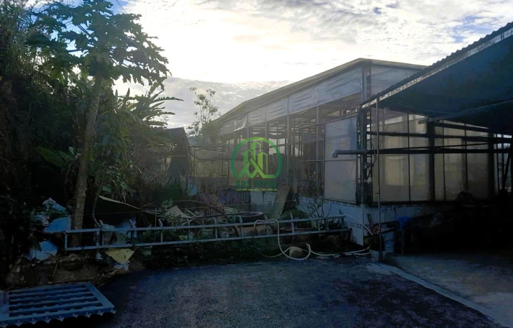 🏡 CẦN BÁN LÔ ĐẤT NGUYỄN TRUNG TRỰC - P. XUÂN HƯƠNG- ĐÀ LẠT