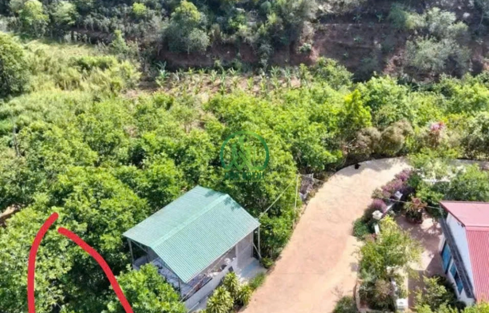 🏡 CẦN BÁN ĐẤT ĐƯỜNG KHE SANH - P. XUÂN HƯƠNG - ĐÀ LẠT