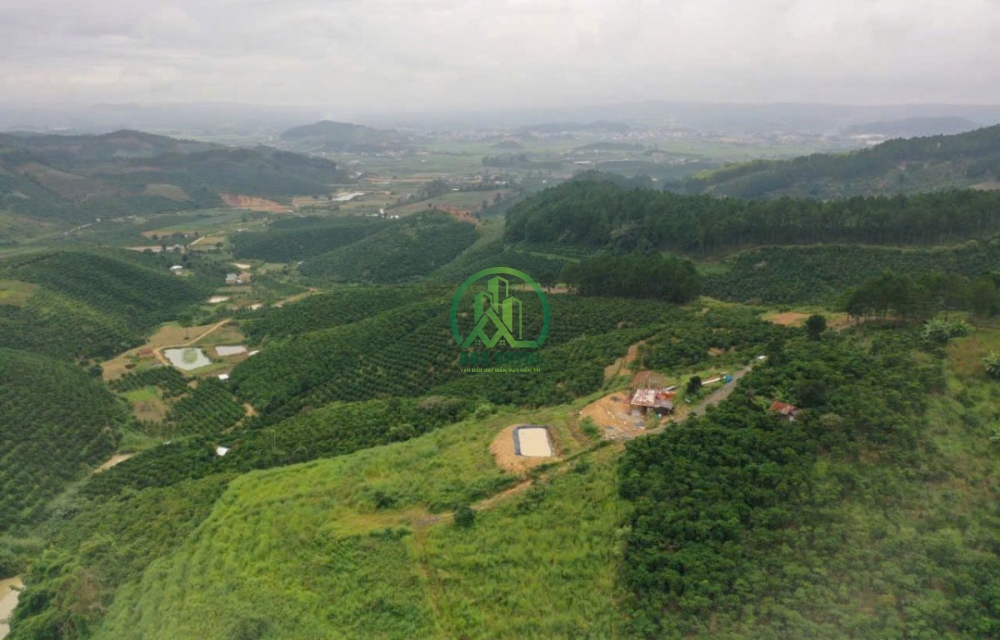 🏡 CẦN BÁN 16.000 M2 ĐẤT XÃ ĐINH VĂN- LÂM HÀ