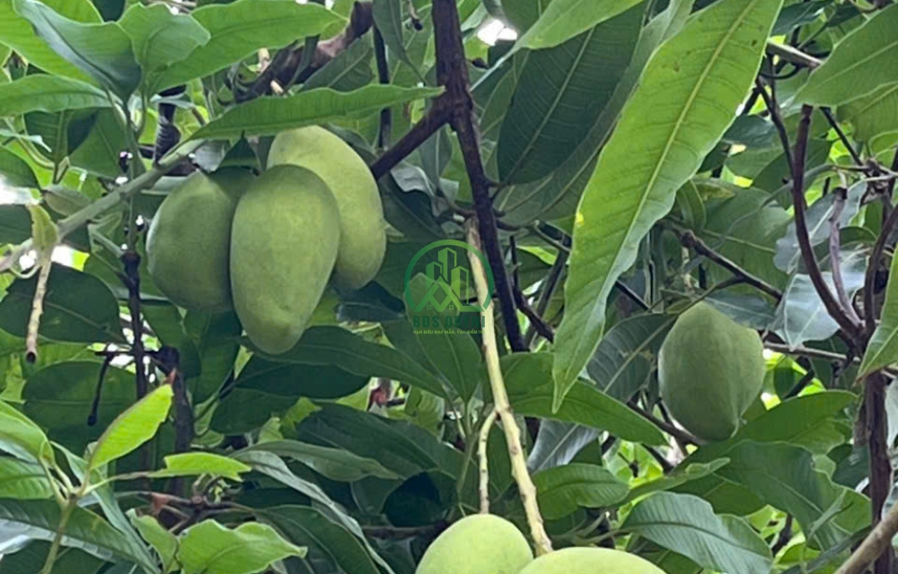 🏡 CẦN BÁN 16.000 M2 ĐẤT XÃ ĐINH VĂN- LÂM HÀ