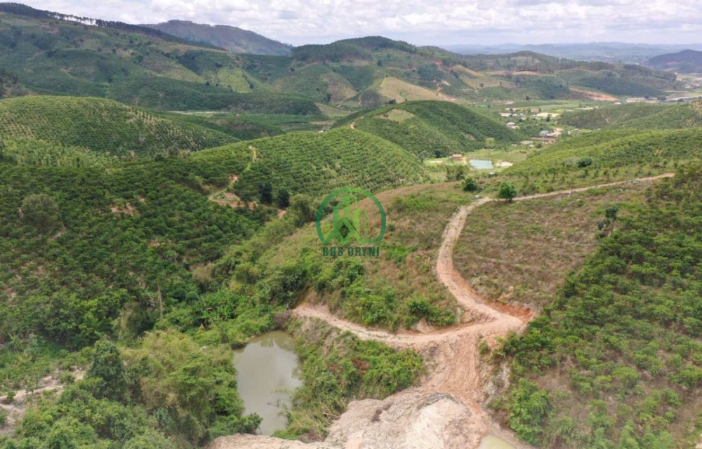 🏡 CẦN BÁN 16.000 M2 ĐẤT XÃ ĐINH VĂN- LÂM HÀ