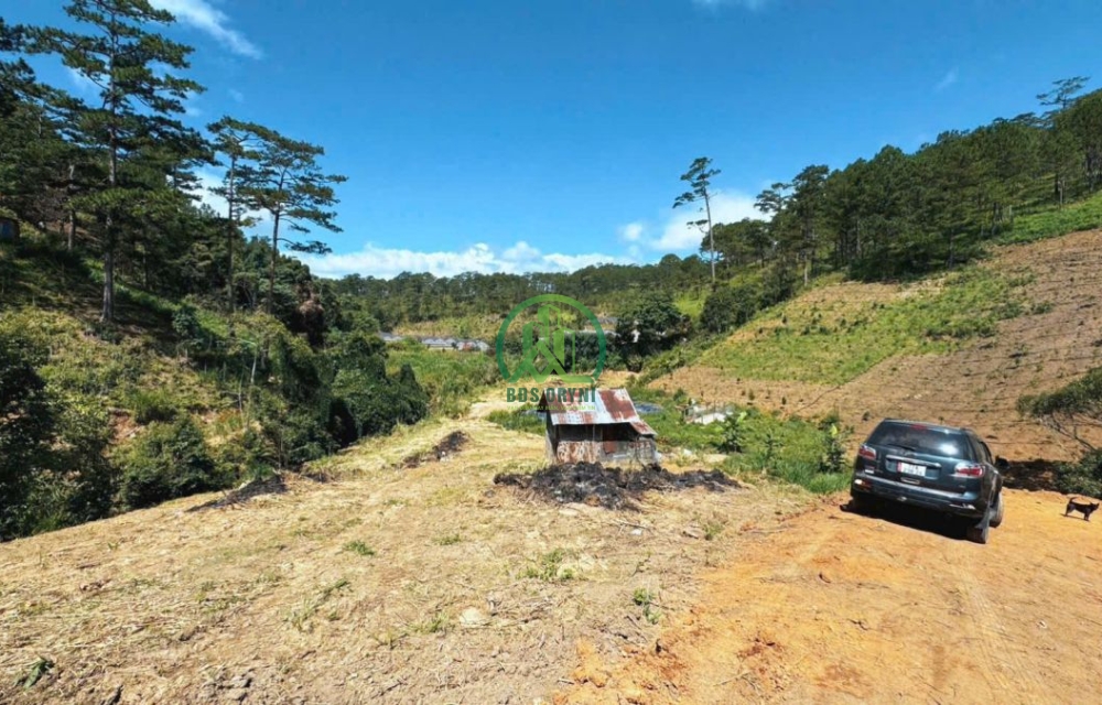 🏡 CẦN BÁN 10.000 M2 ĐẤT P. XUÂN TRƯỜNG - ĐÀ LẠT