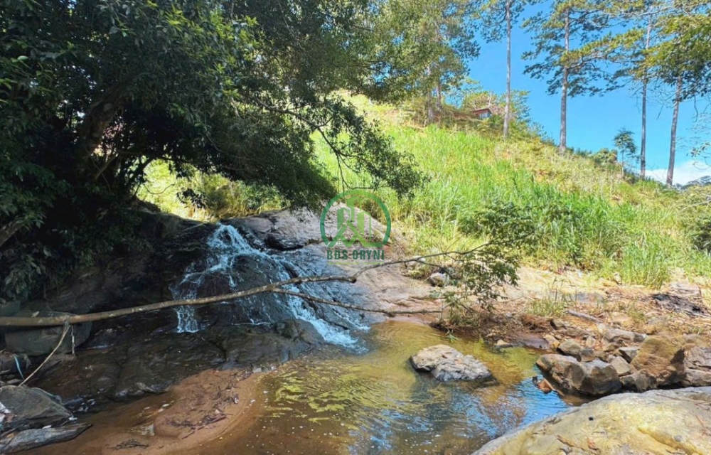 🏡 CẦN BÁN 10.000 M2 ĐẤT P. XUÂN TRƯỜNG - ĐÀ LẠT