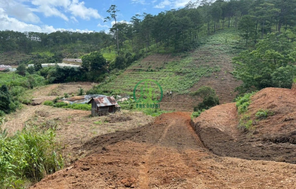 🏡 CẦN BÁN 10.000 M2 ĐẤT P. XUÂN TRƯỜNG - ĐÀ LẠT
