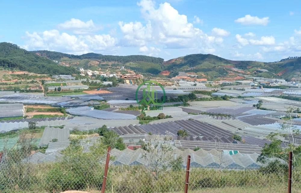 🏡 CẦN BÁN ĐẤT ĐẸP TRUNG TÂM LẠC DƯƠNG -P. LANGBIANG - ĐÀ LẠT