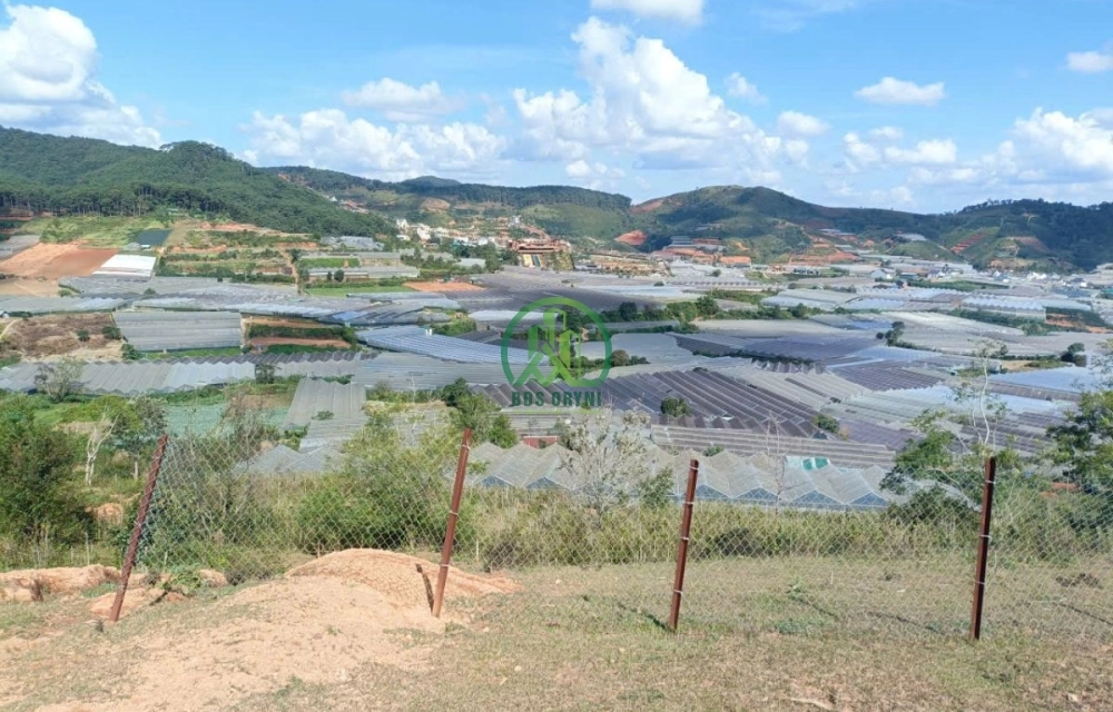 🏡 CẦN BÁN ĐẤT ĐẸP TRUNG TÂM LẠC DƯƠNG -P. LANGBIANG - ĐÀ LẠT