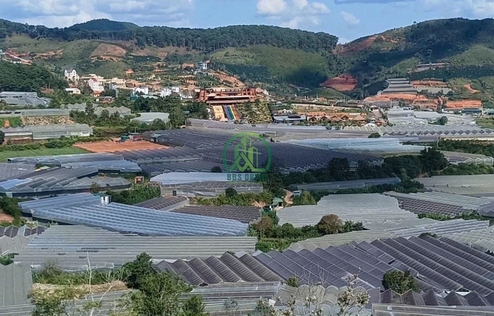 🏡 CẦN BÁN ĐẤT ĐẸP TRUNG TÂM LẠC DƯƠNG -P. LANGBIANG - ĐÀ LẠT